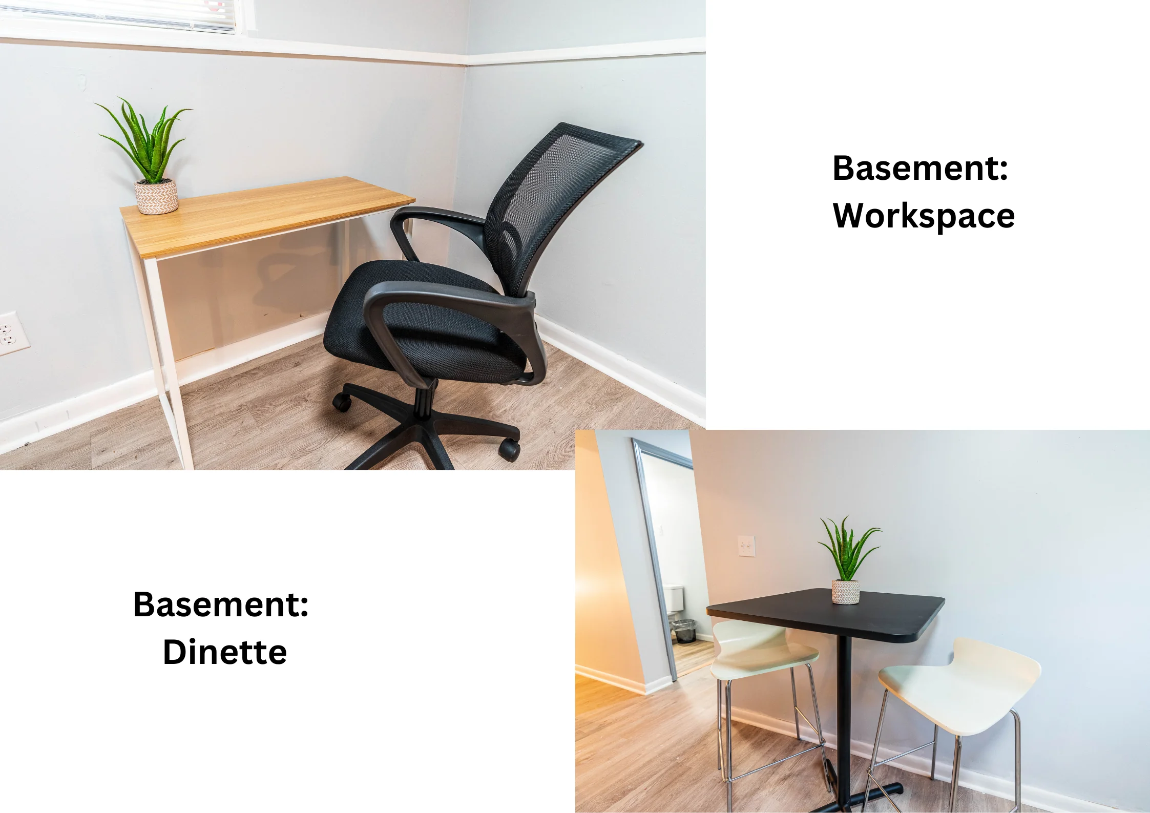 Ashwood Drive — photo 17