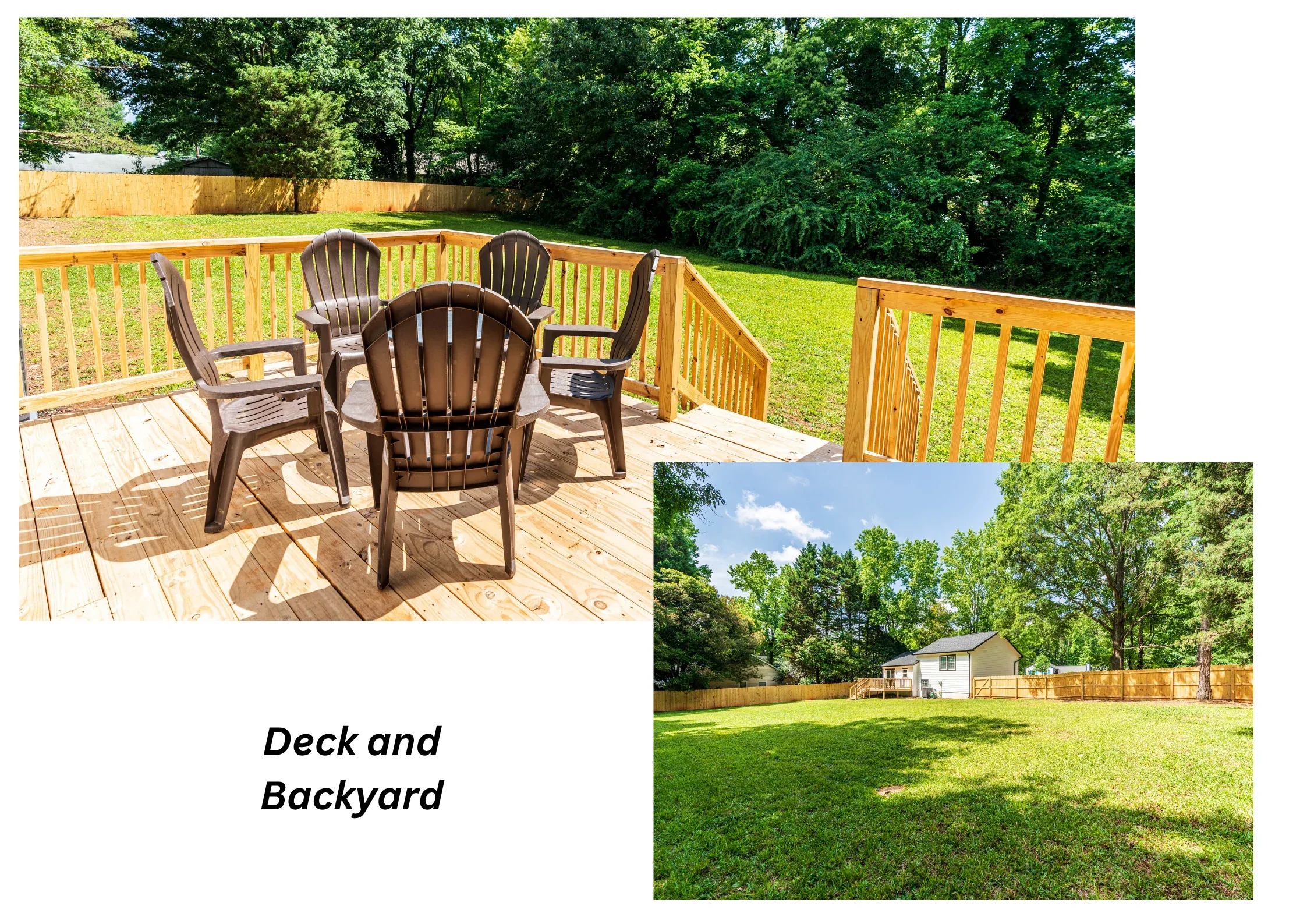 Ashwood Drive furnished rental Charlotte NC 28215 — photo 3