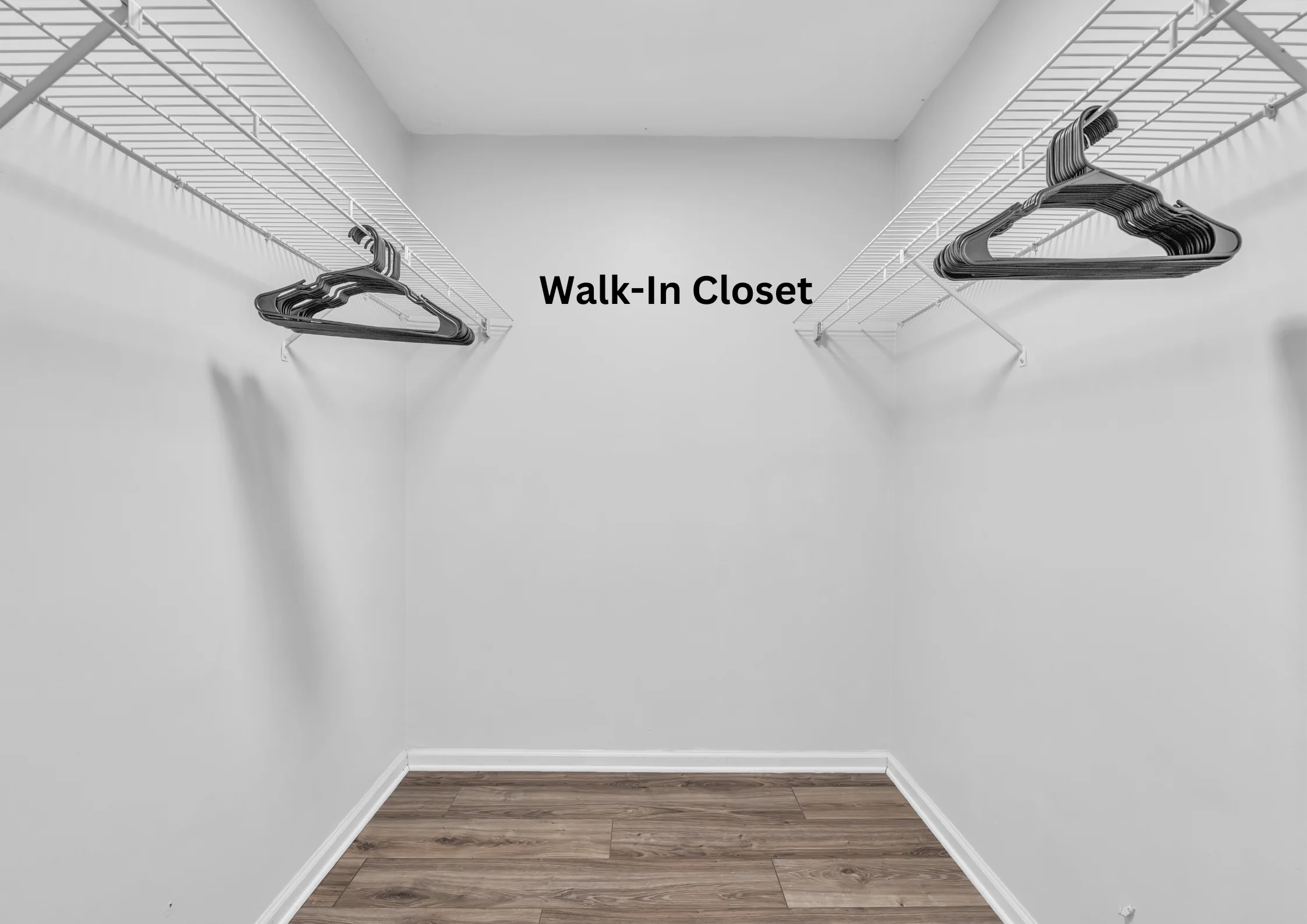 Dembrigh Lane Guest Suite — photo 8